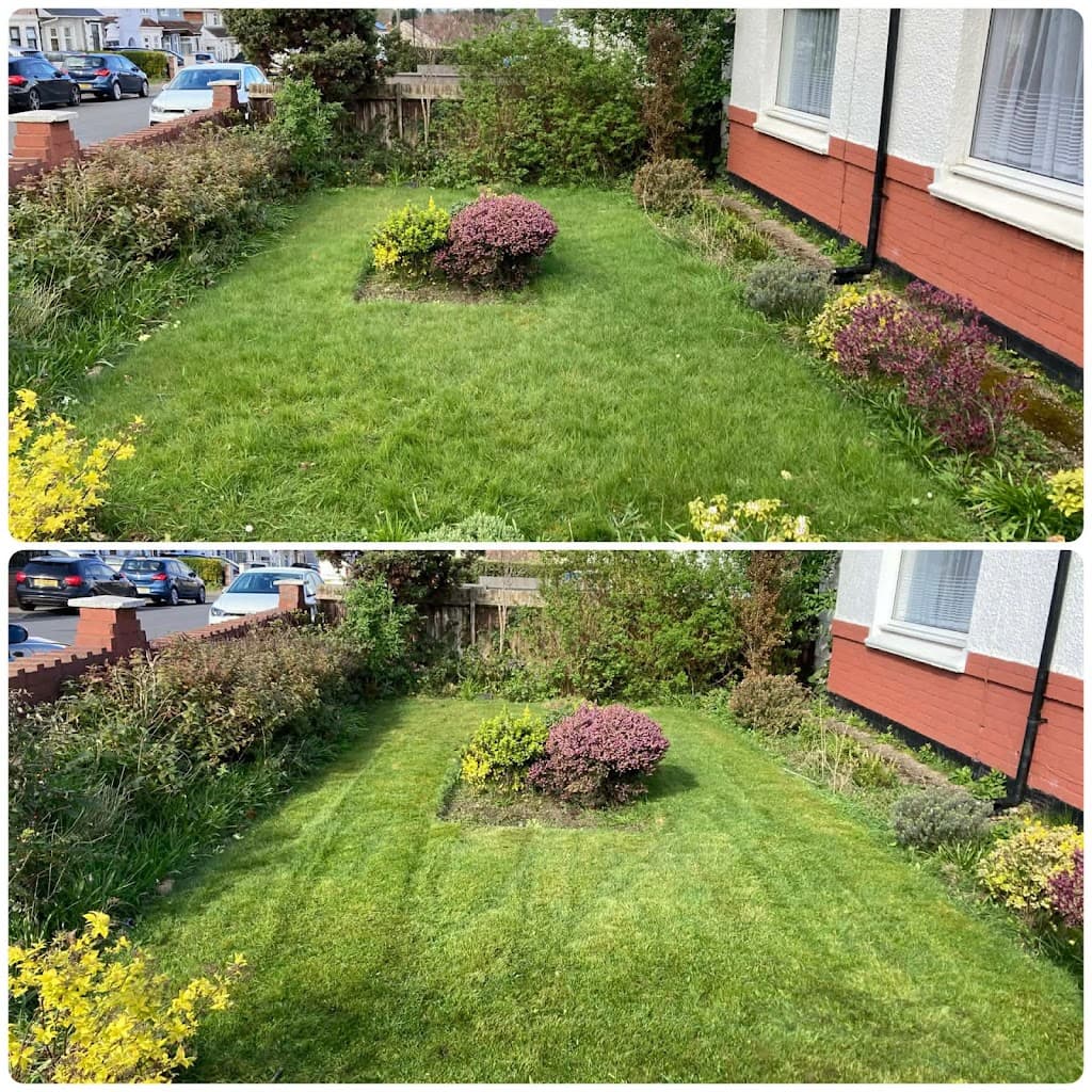 Harmony Garden Solution