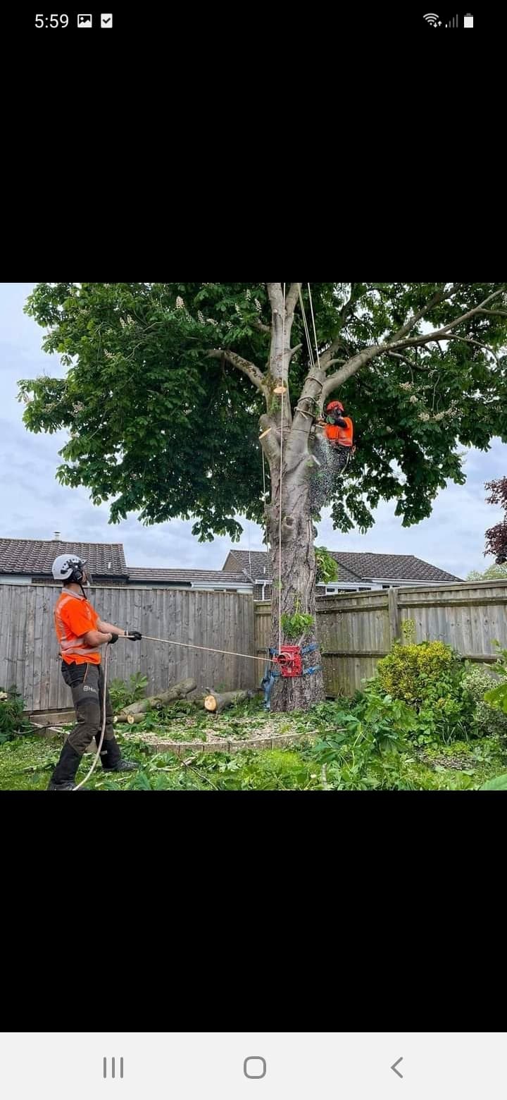 Hull&District Tree Care