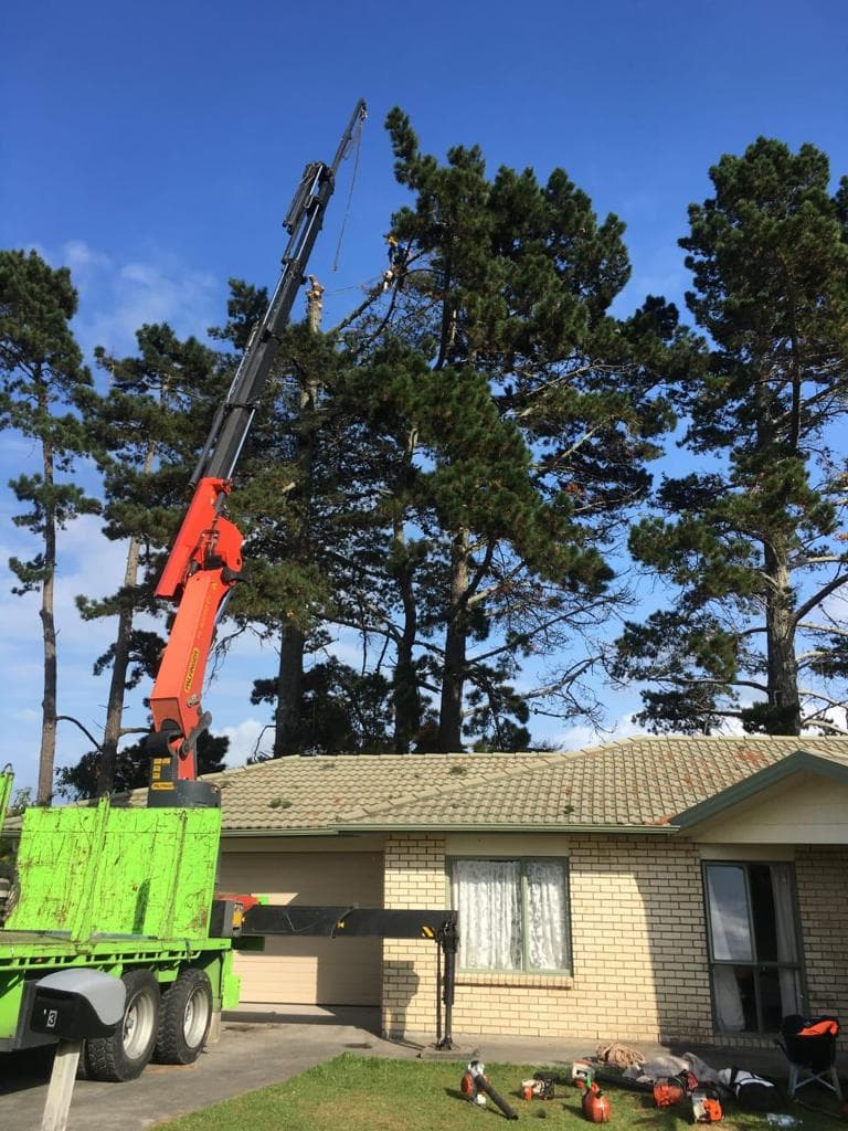 Bay Tree Surgery