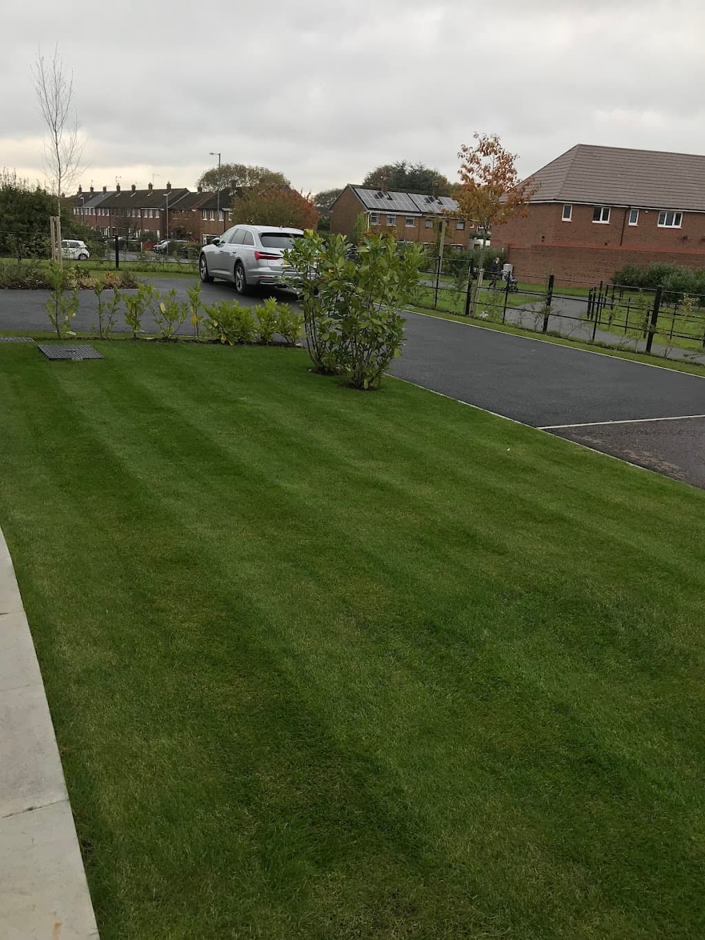 The Lawn People
