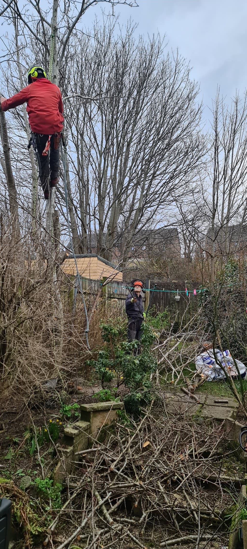 Stevenson Tree Care