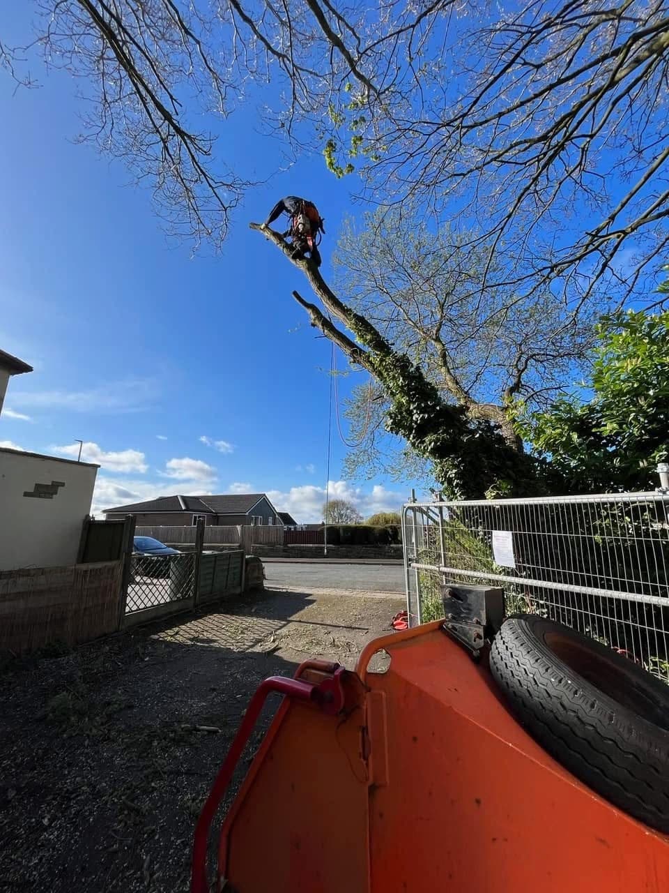 Emerald Elm Tree Surgery LTD