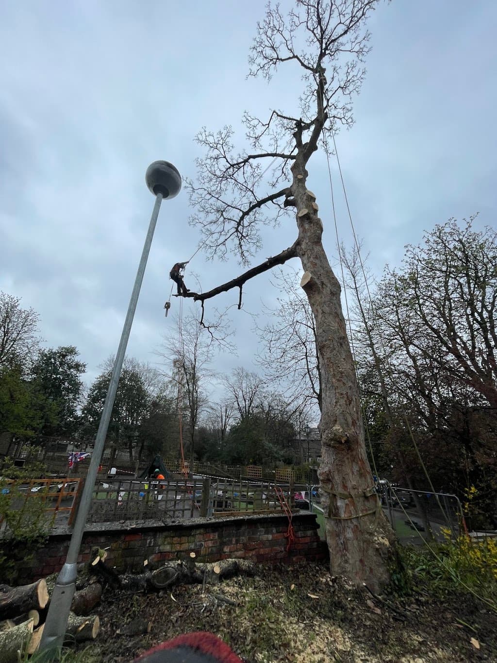 Sharps Tree Services ltd