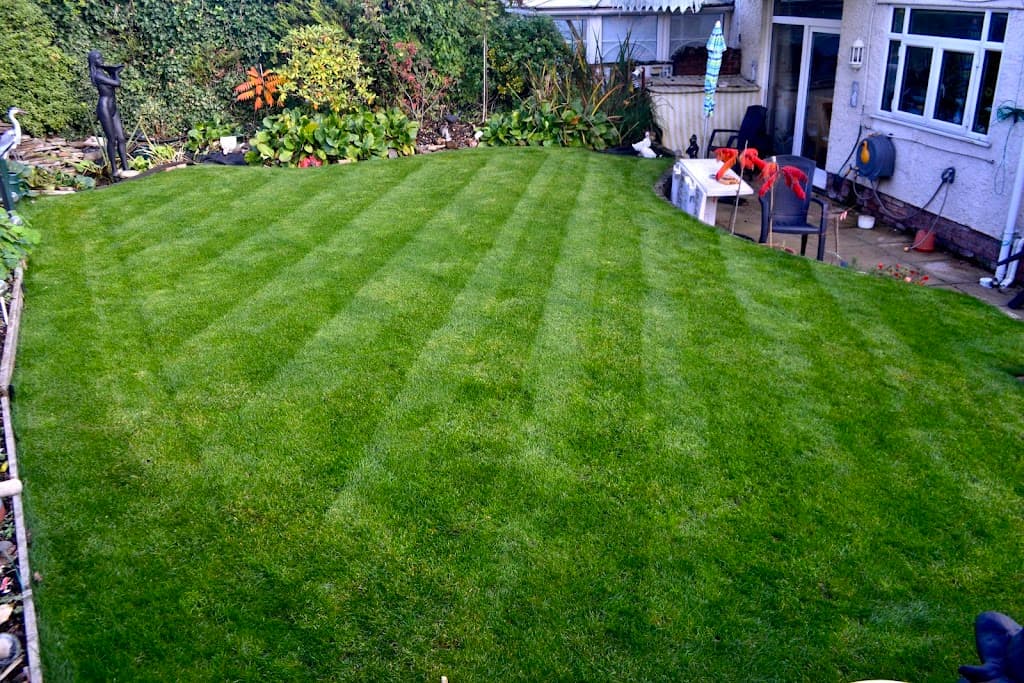Lawn & Weed Expert - Lawn Care Services