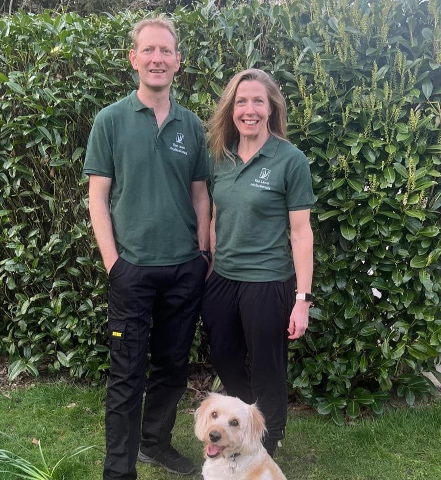 The Lawn Professionals
