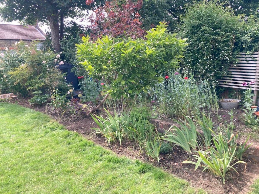 The London Garden Company