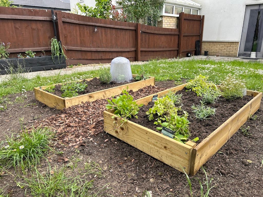 Edds lawn and gardening services