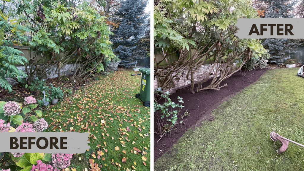 James Moran Gardening