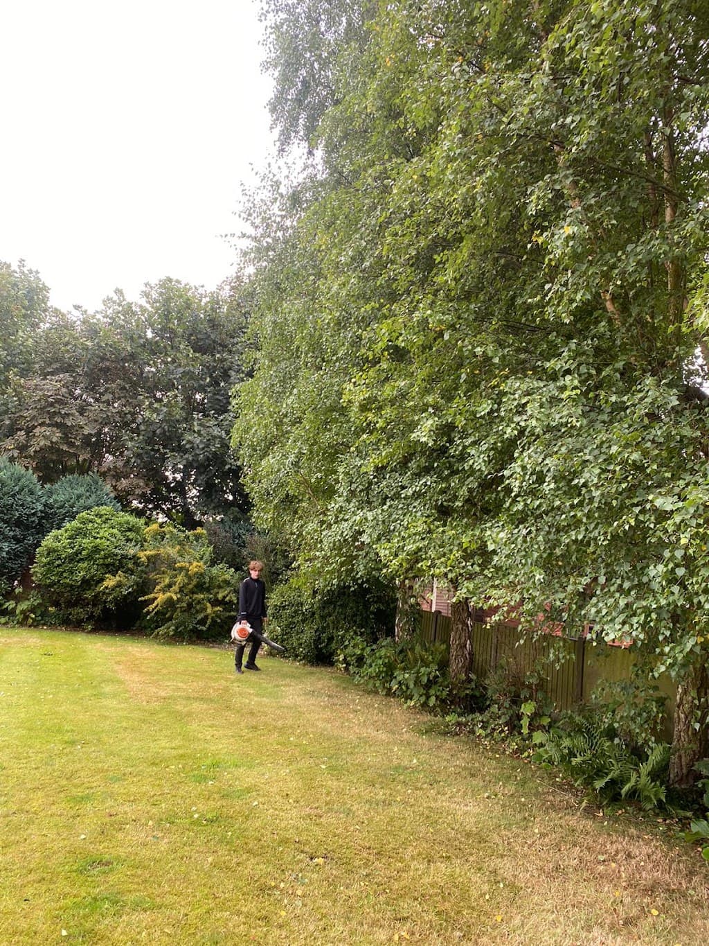 Oakland Tree Services Ltd