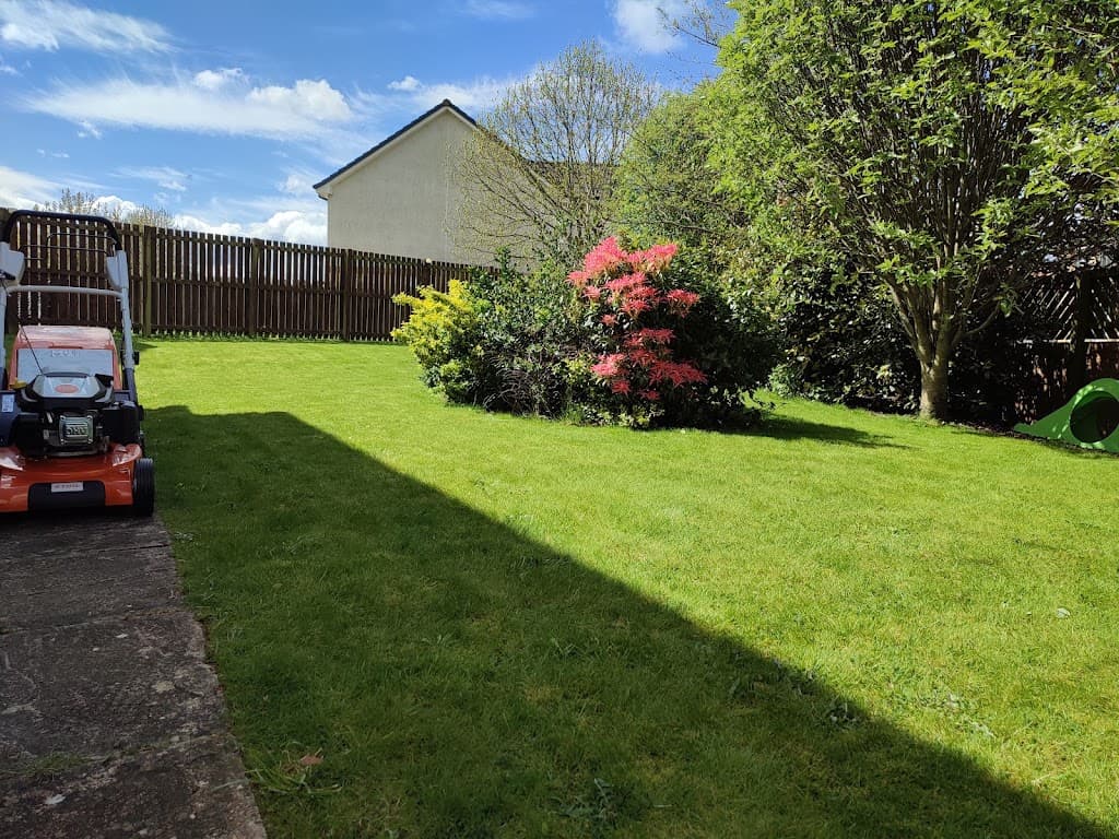 Thomson's Lawn Care