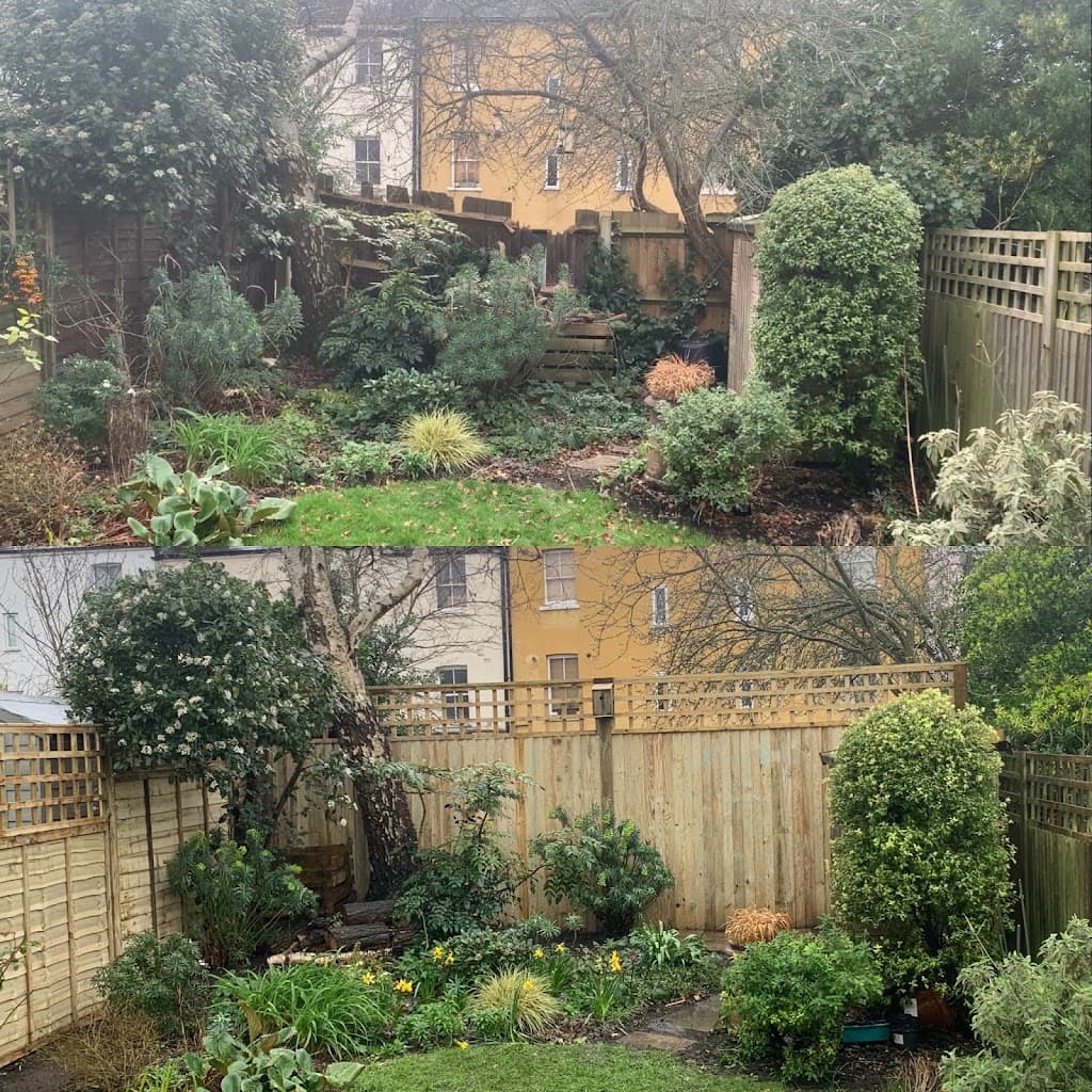 Mulch London