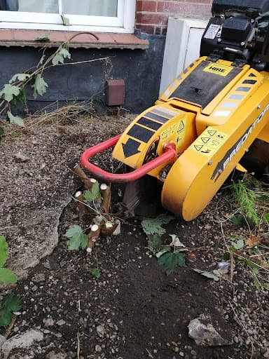 Mainline Tree Services — Customer photo