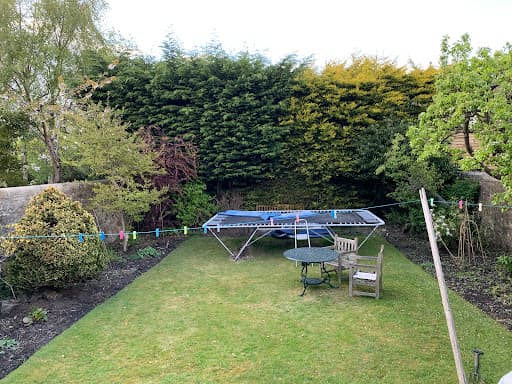 Edinburgh Tree Surgeons — Customer photo