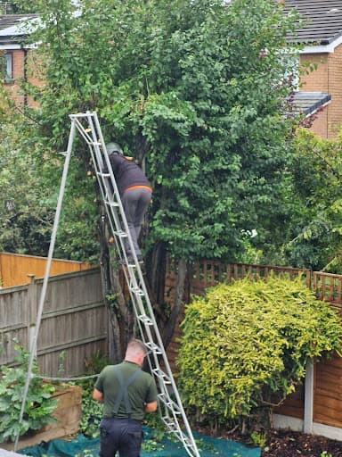 Karl Fischer Garden Grounds & Tree Maintenance Limited — Customer photo
