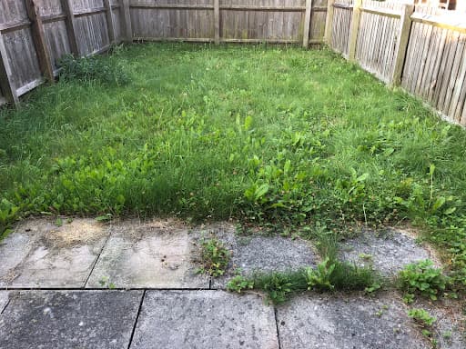Sanders Landscape Services — Customer photo