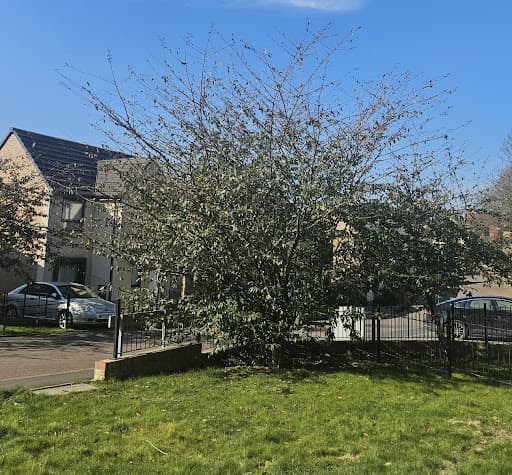 Lucas gardening LTD — Customer photo