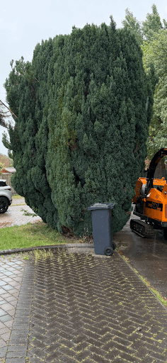 AWD FORESTRY AND TREE SURGERY — Customer photo