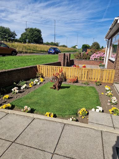 Tyne lawns — Customer photo