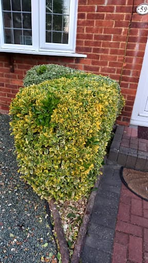 Fantastic Gardeners — Customer photo