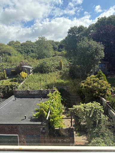 Bees & Beans Gardens — Customer photo