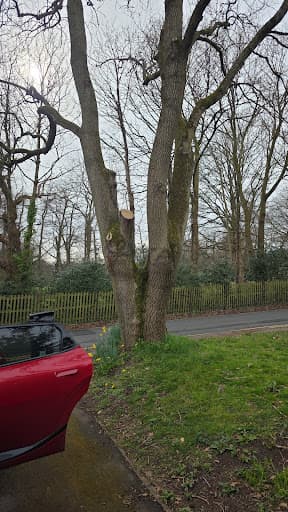 A&T Tree Services — Customer photo