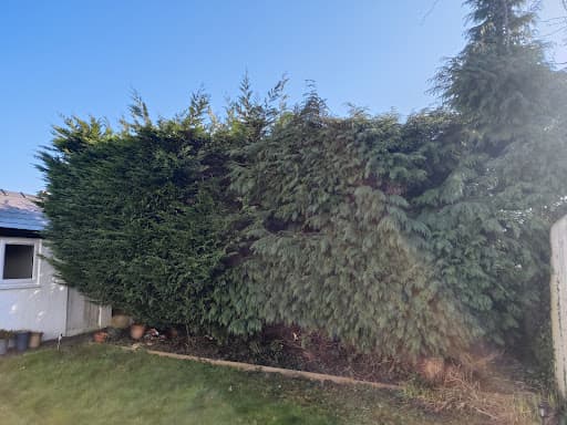 J. B. Landscapes Bristol — Customer photo