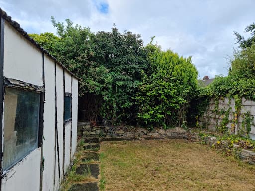 Treestyle Arboriculture, Tree Surgeon Manchester — Customer photo