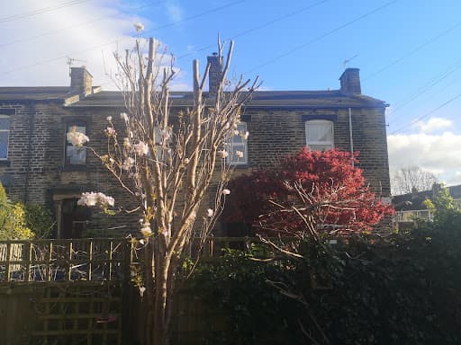 Oakwood Tree Services — Customer photo