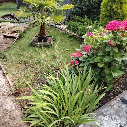 MDS Home & Garden Maintenance Services — Customer photo