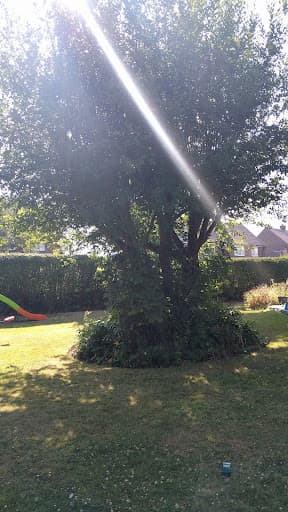 Alderwood Tree Care Ltd — Customer photo