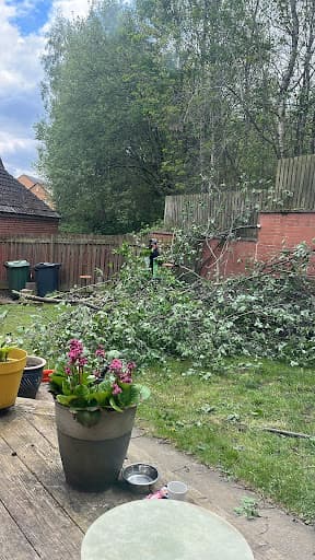 Lime Tree Surgeons — Customer photo
