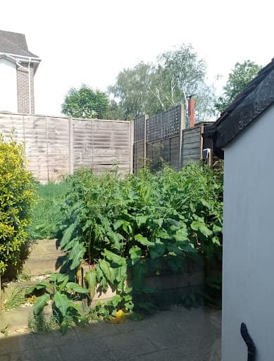 The Good Gardener — Customer photo