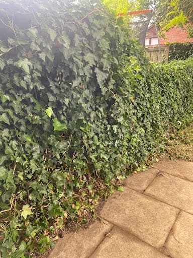 R.S.S Ground Care Maintenance ltd — Customer photo