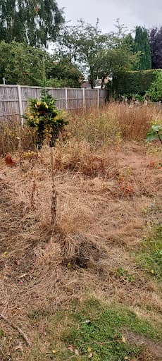 Sycamore - Grounds Maintenance & Lawn Care — Customer photo
