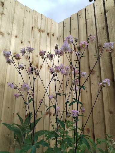 Jones landscapes swansea — Customer photo