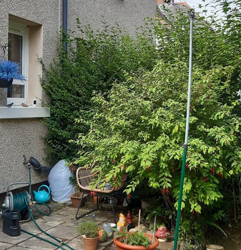 Garden Man - Gardening Services — Customer photo
