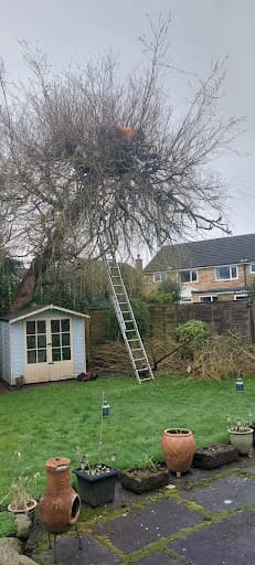J M Tree Services — Customer photo