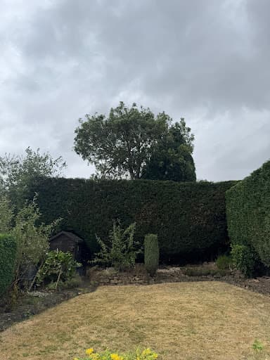 Hunton Tree Surgeons — Customer photo