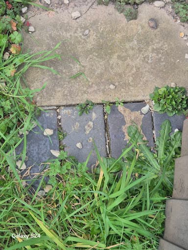 BB Landscapes — Customer photo