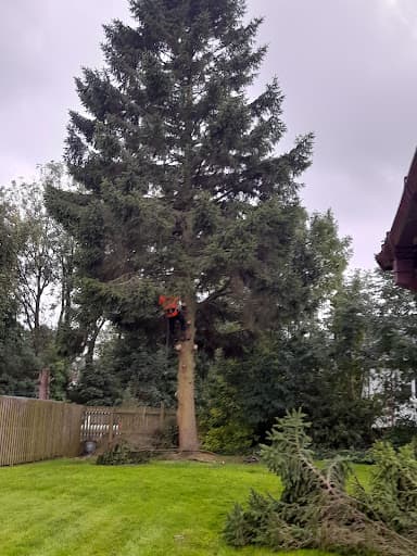 Sharps Tree Services ltd — Customer photo