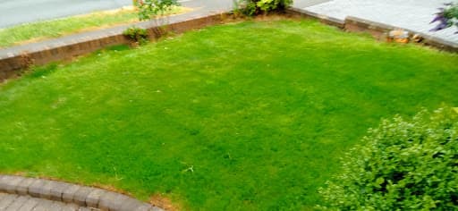 Ideal Lawn Care — Customer photo