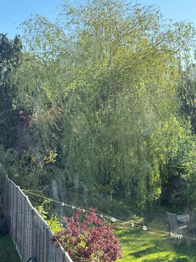 AWD FORESTRY AND TREE SURGERY — Customer photo