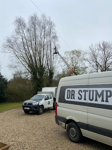 DR STUMP LTD — Customer photo