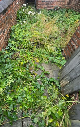 simons garden maintenance — Customer photo