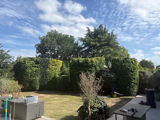 Coventry Tree Surgeons — Customer photo