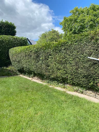 SD Tree Care — Customer photo