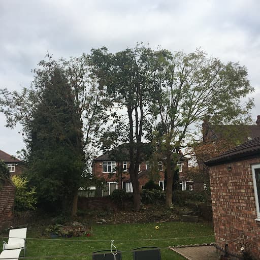 Alderwood Tree Care Ltd — Customer photo