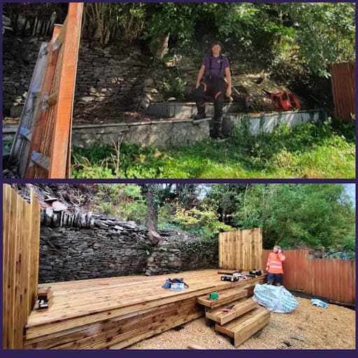 Tree Brother — Customer photo