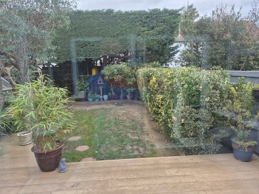 Brighton Tree Specialists — Customer photo