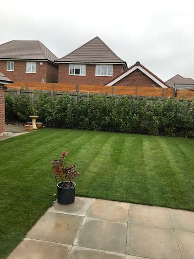 The Lawn People — Customer photo